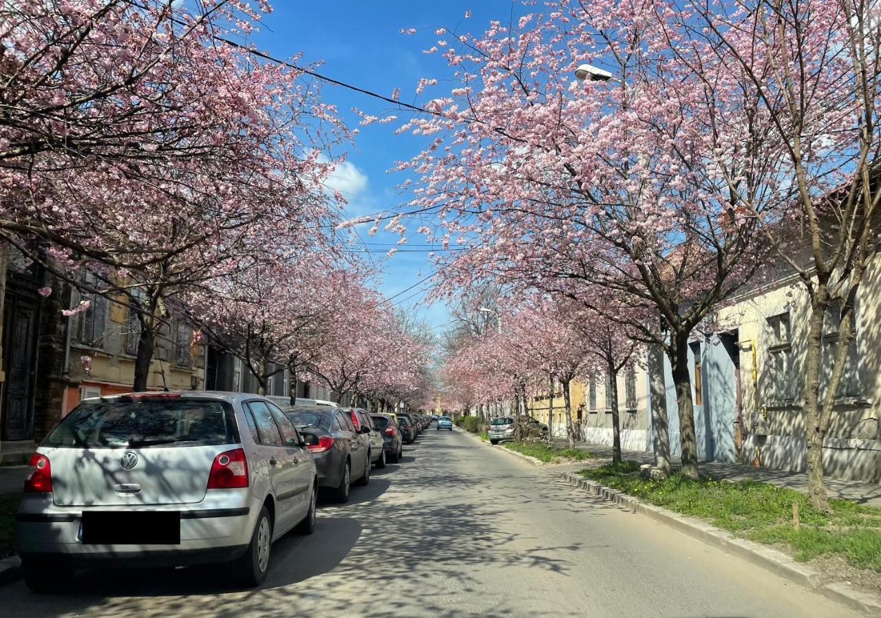 Dulcineea Downtown Garden Studio Τιμισοάρα Εξωτερικό φωτογραφία