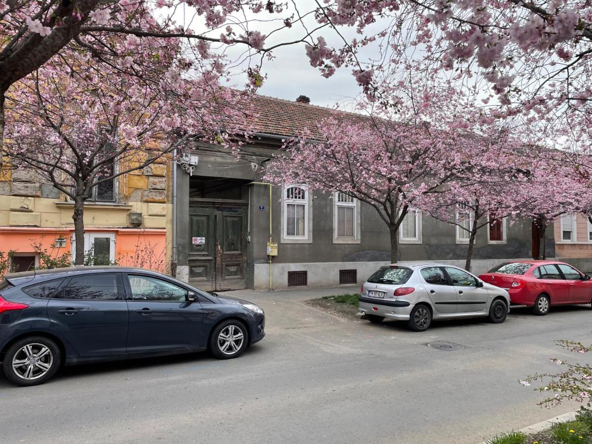 Dulcineea Downtown Garden Studio Τιμισοάρα Εξωτερικό φωτογραφία