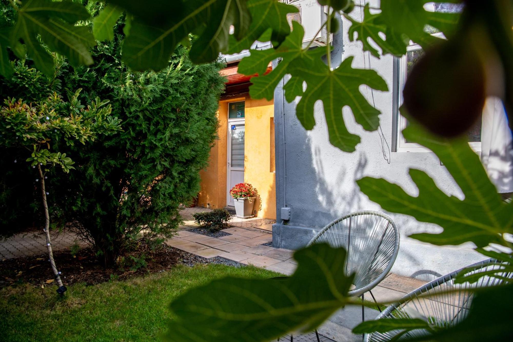Dulcineea Downtown Garden Studio Τιμισοάρα Εξωτερικό φωτογραφία